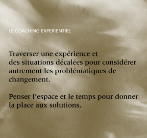 oui coaching expérientiel équipe cohésion accompagnement