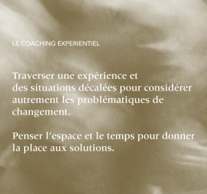 oui coaching expérientiel équipe cohésion accompagnement